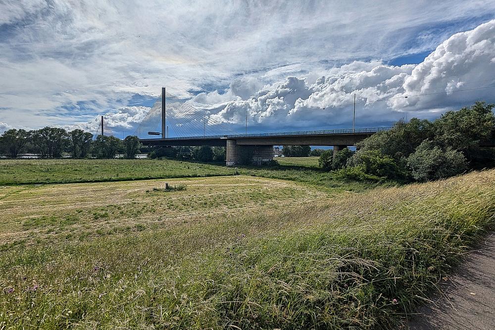 „Lenkungskreis“ für gesperrte Bonner Rheinbrücke nimmt Arbeit auf