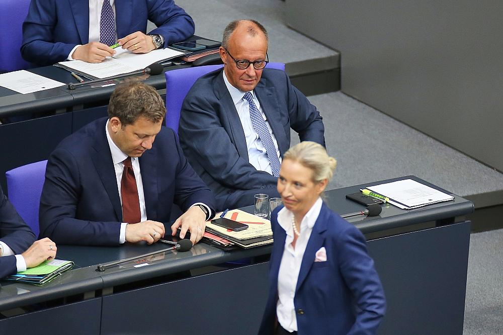 AfD bleibt in Umfrage mit 29 Prozent stärkste Kraft