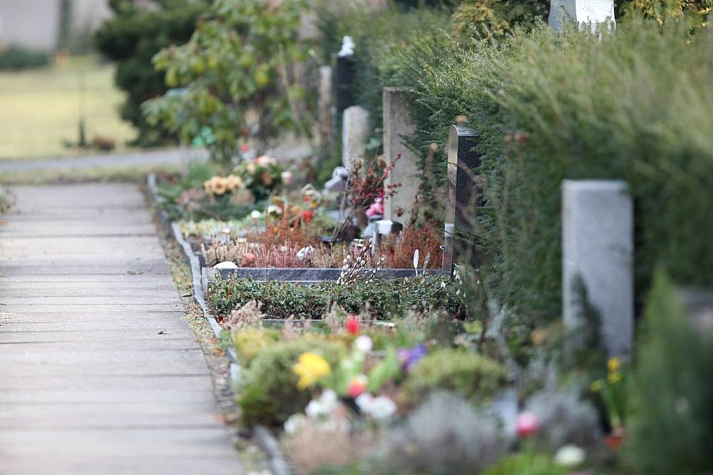 Friedhofsgärtner fordern Ausnahmen von Gießverboten