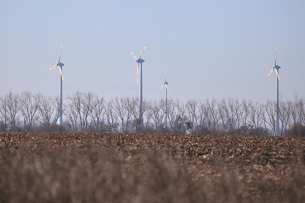 SPD in Sachsen-Anhalt kritisiert Fehler bei Energiewende