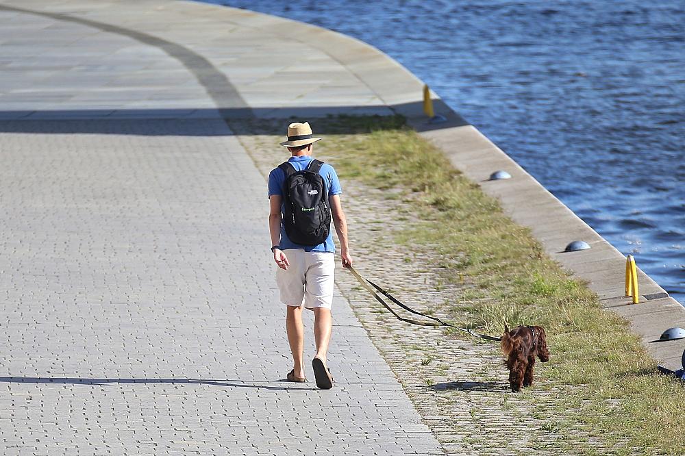 DWD: Südwesten erlebt im Juli extreme Hitze und Trockenheit