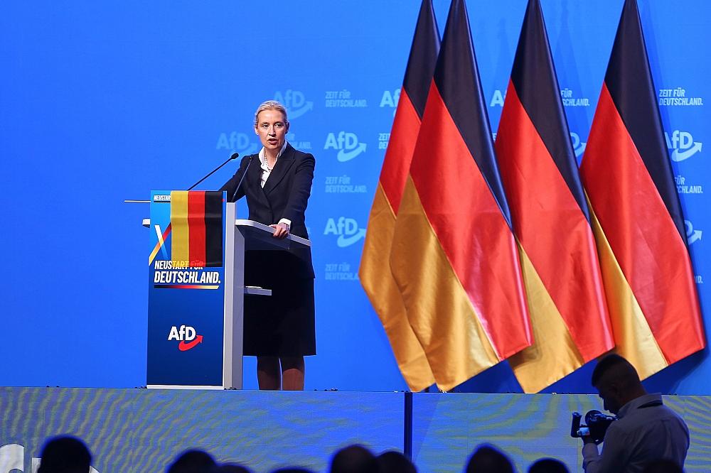 Politologe: Weidels Macht in der AfD ist begrenzt