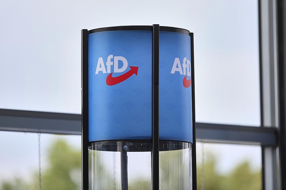 DIW warnt vor Ende der „Brandmauer“ zur AfD