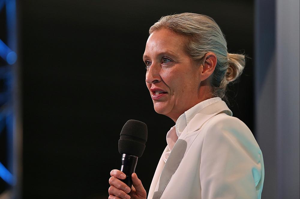 Politbarometer: AfD legt zu – Grüne und Linke verlieren
