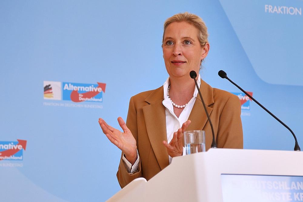 Brandmauer: AfD begrüßt Antrag aus Brandenburger Mittelstandsunion