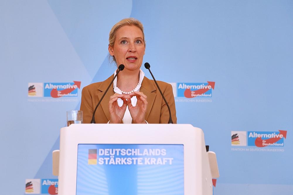 AfD will Fünf-Prozent-Hürde ersatzlos streichen