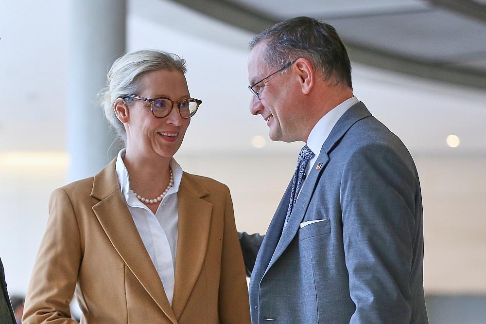 Forsa: AfD bleibt auf Rekordhoch