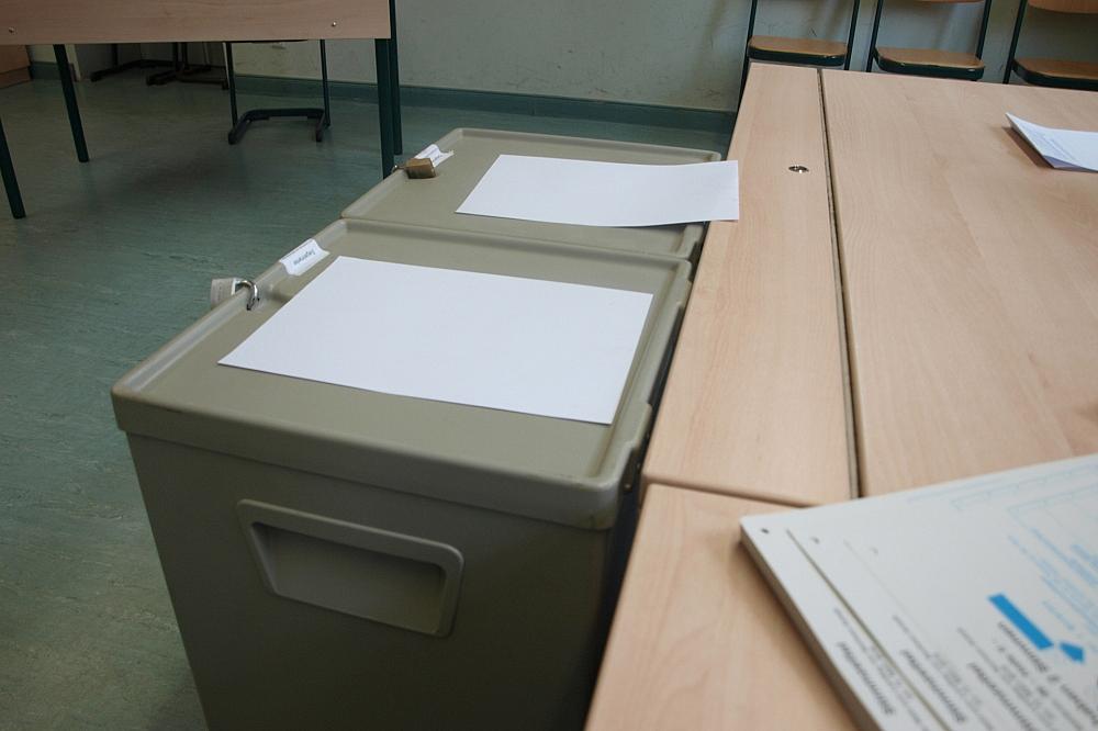 Nouripour will Wahltermine bündeln