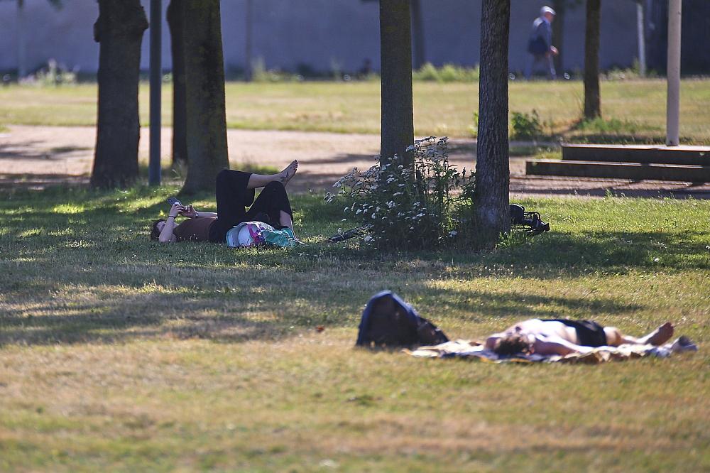 Sommer 2026 einer der wärmsten seit Aufzeichnungsbeginn
