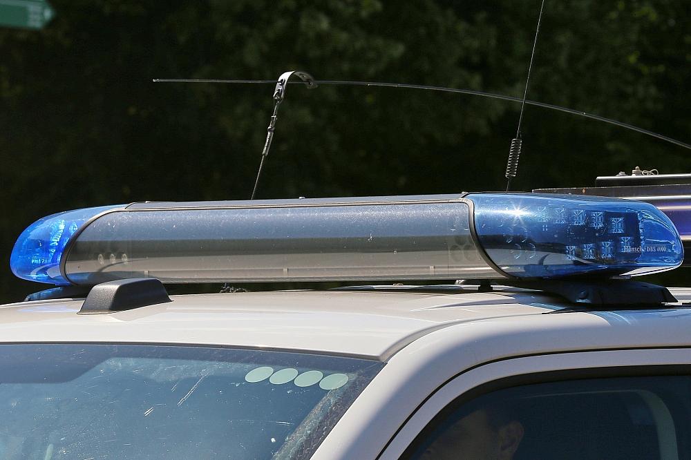 Männlicher Torso in Wald bei Flensburg gefunden