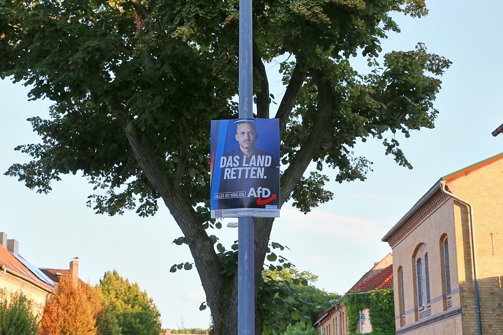 Zentralrat der Juden warnt vor AfD bei Landtagswahl