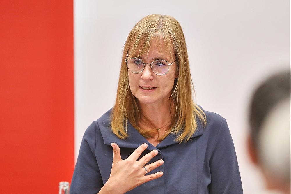 Linke erhöht Druck auf CDU in Sachsen-Anhalt