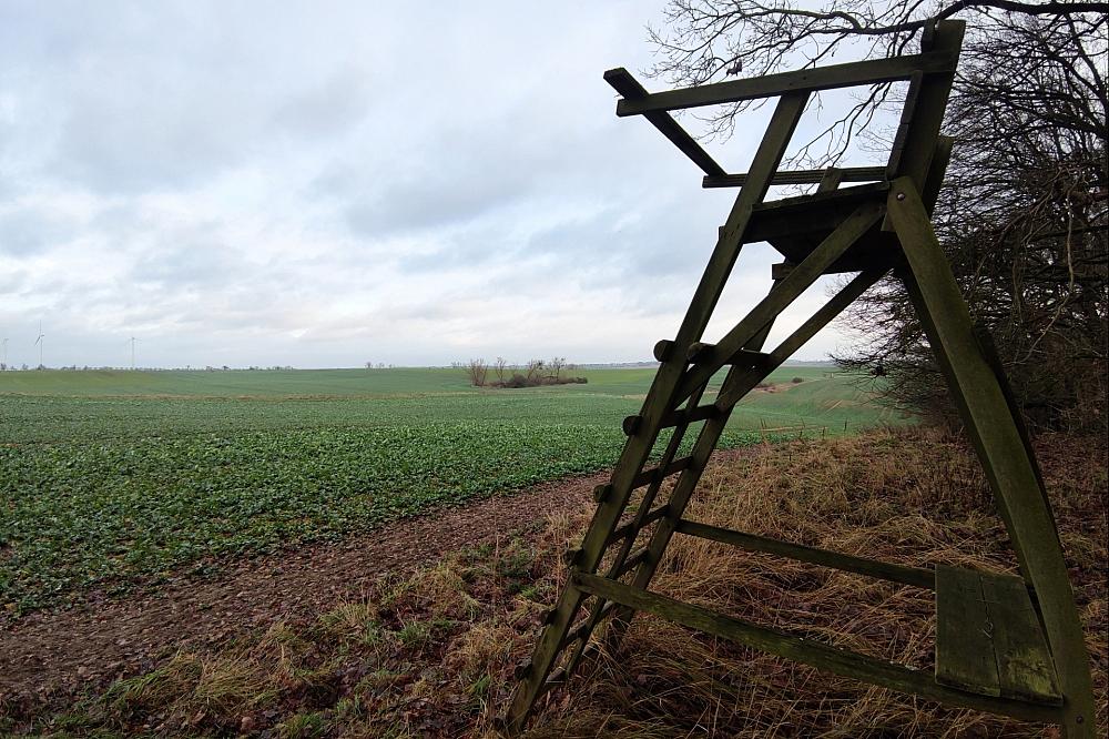 Jagdverband fordert mehr Einsatz gegen illegale Waffen