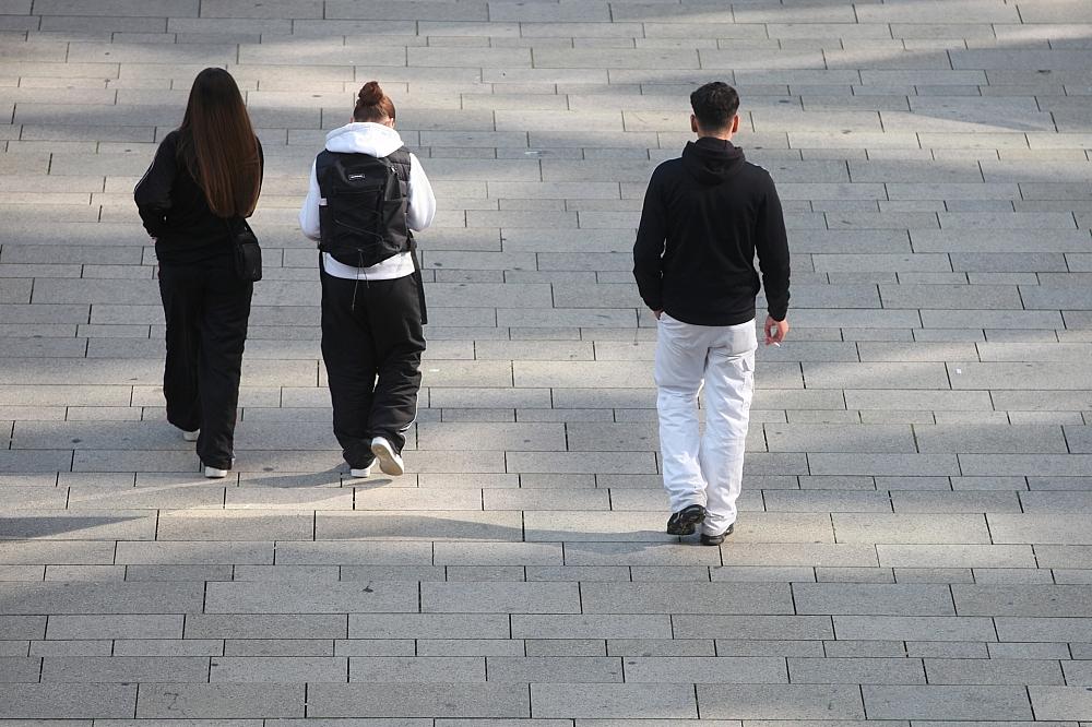 Linke kritisiert Vorbereitungen für neuen Zivildienst