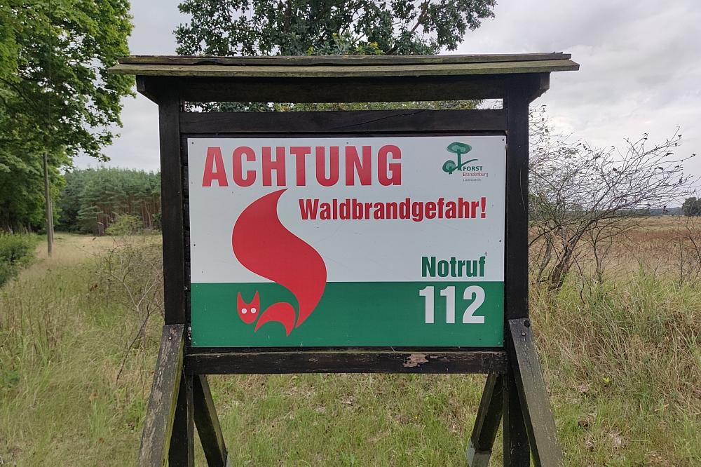 Feuerwehrverband: Höhere Strafen bei Waldbränden kein Allheilmittel