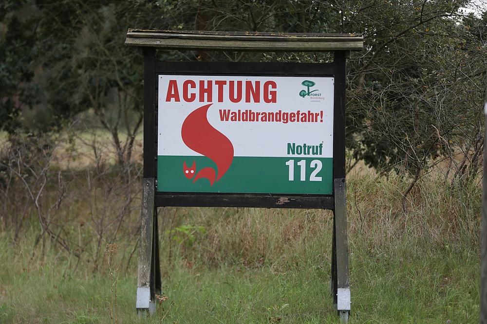 Union offen für höhere Mindeststrafen bei Brandstiftung