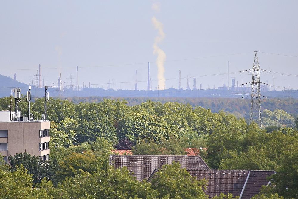 Kommunen fordern mehr Tempo im Kampf gegen Sozialmissbrauch