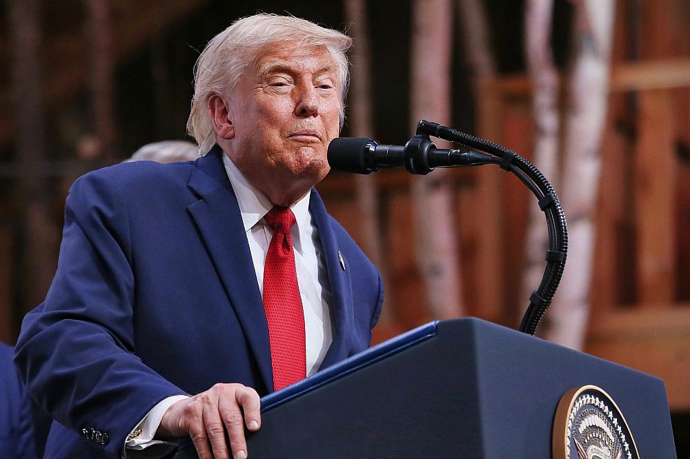 Bundesregierung weist Trumps Ratschläge zur AfD zurück