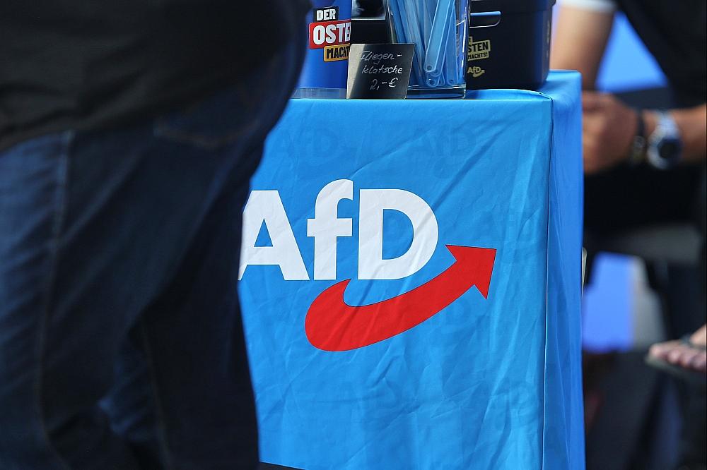 Umfrage: Vertrauen in politisches System unter AfD-Anhängern gering