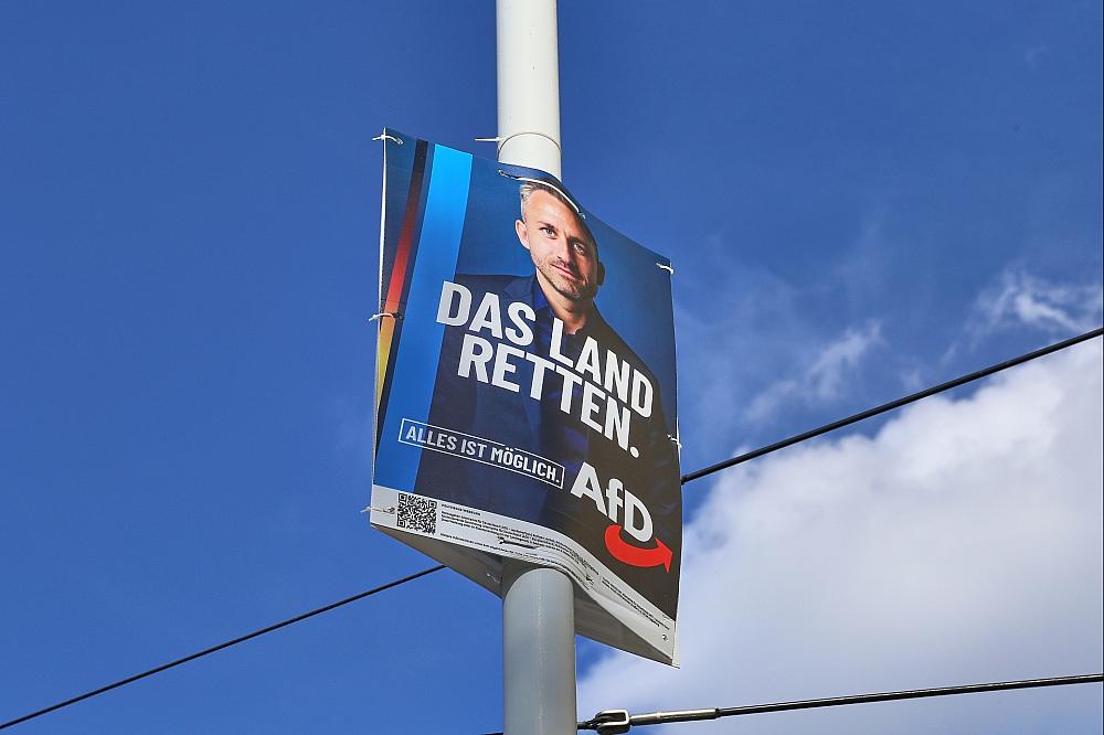 Umfrage: Mehrheit sorgt sich um Demokratie bei AfD-Regierung