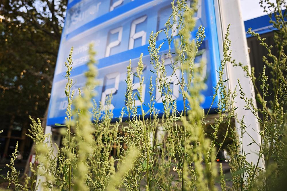 Hohe Energiepreise treiben Inflation deutlich über drei Prozent