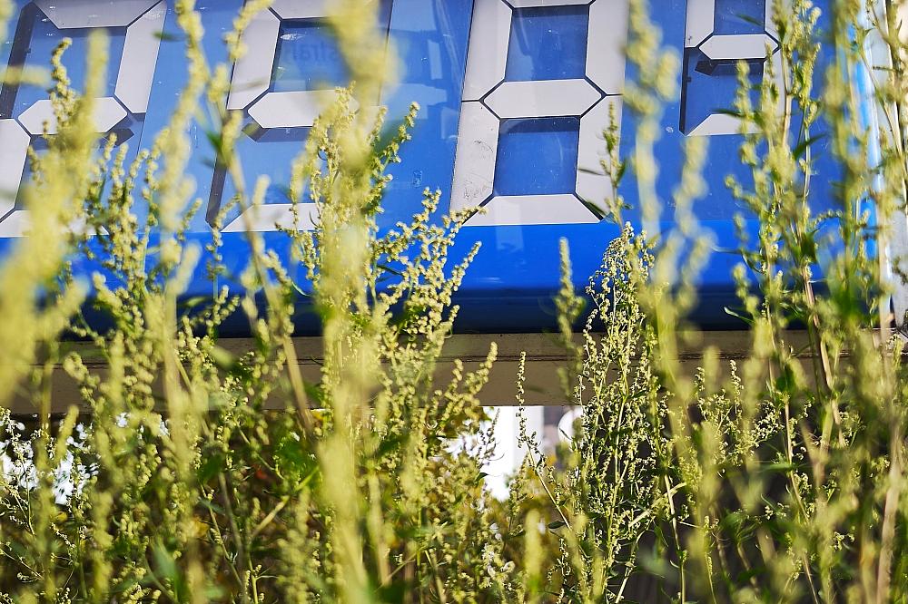 Schweitzer fordert Entlastung beim Tanken über Jahresende hinaus